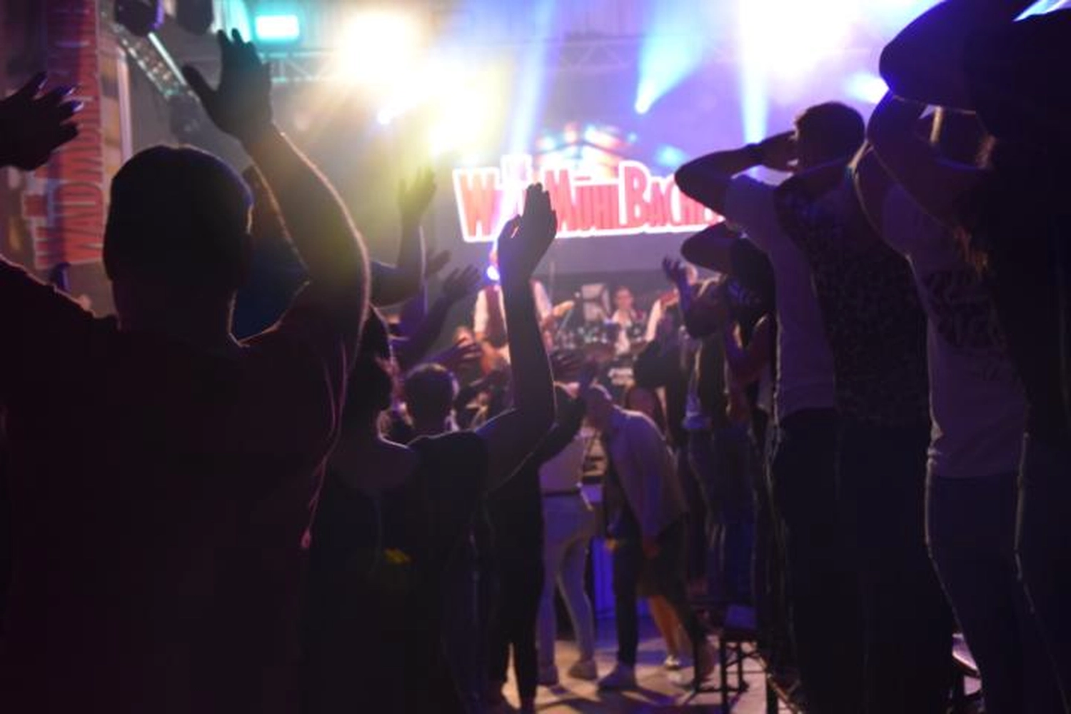 Musikverein Waldmühlbach e.V. - Musikclub - Party