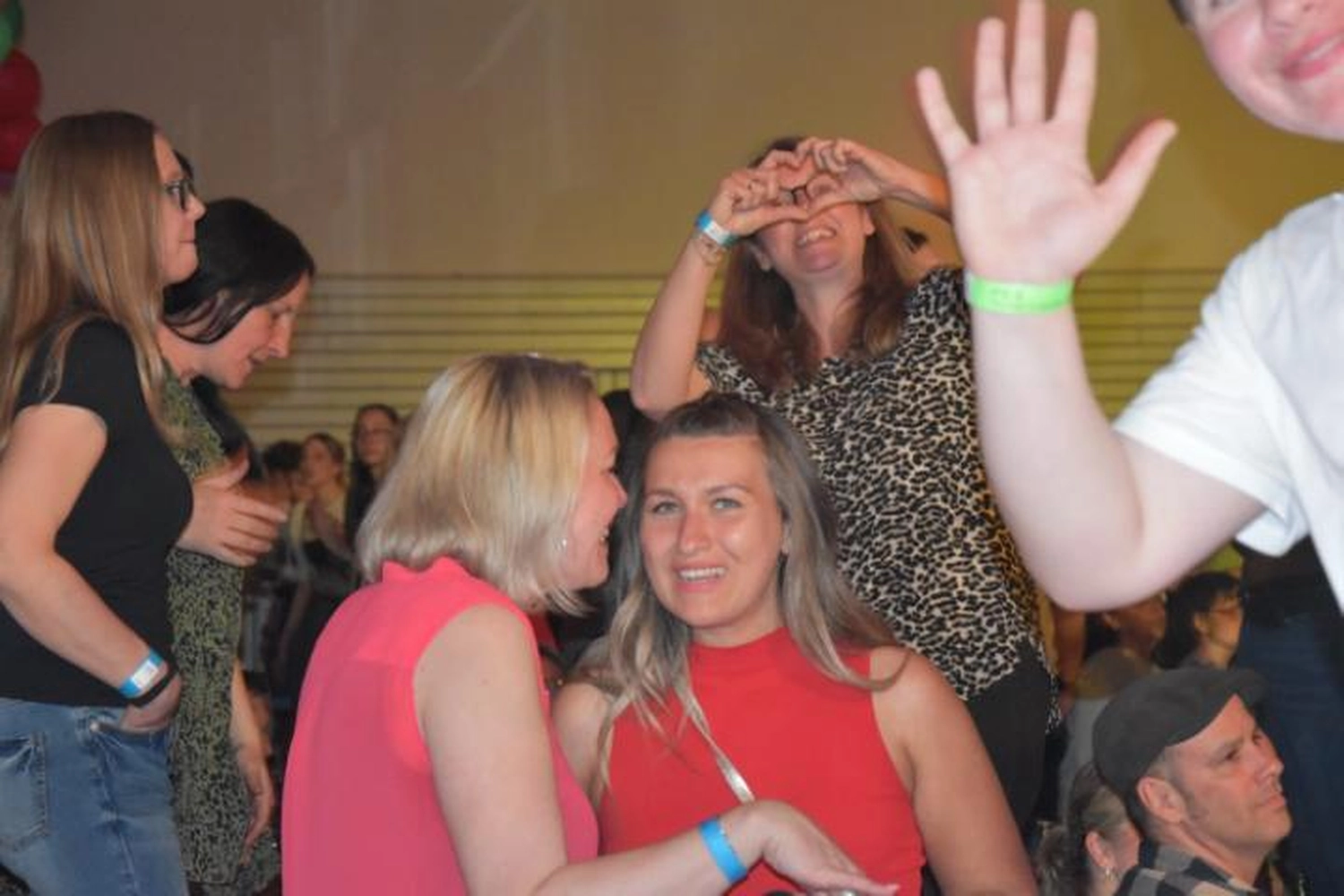 Musikverein Waldmühlbach e.V. - Musikclub - Party