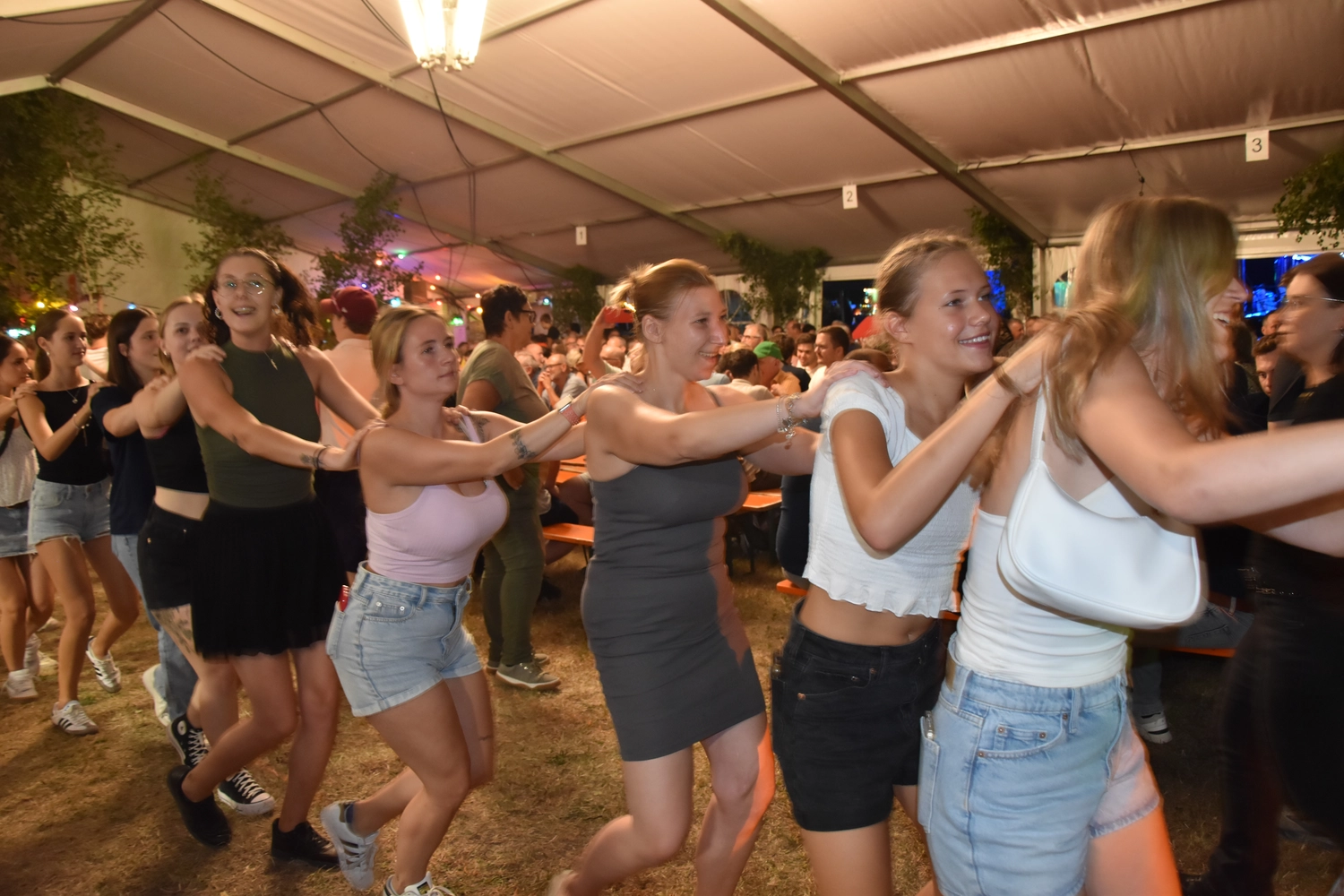 Musik für Vereinsfest