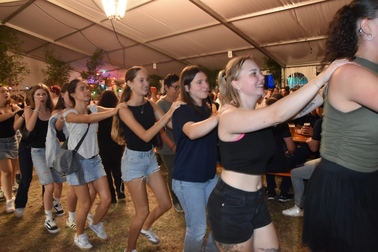 Musik für Vereinsfest