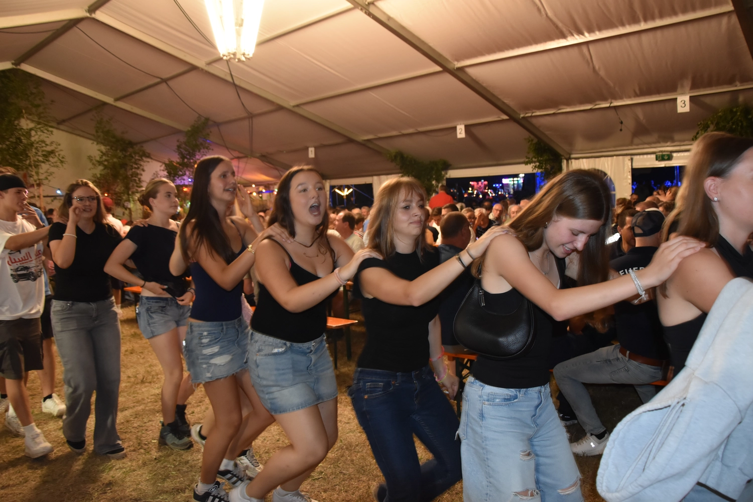 Musik für Vereinsfest