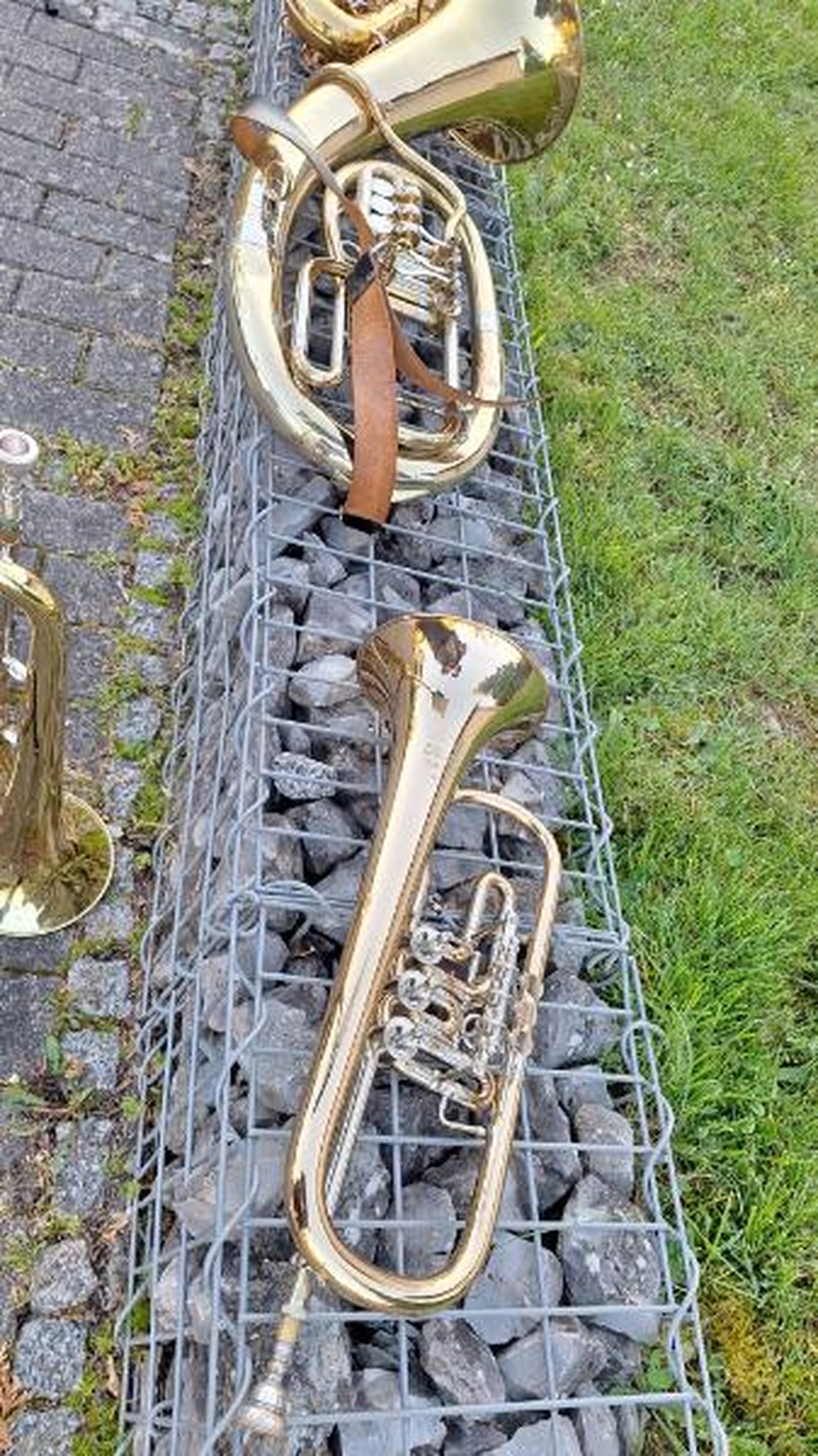 Musikverein Waldmühlbach e.V. - Musikclub - Maifest 01.05.2025